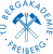 Company Logo Bergakademie Freiberg